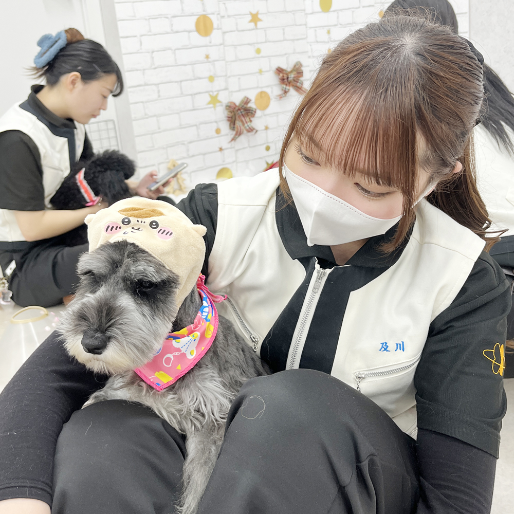 モデル犬の写真撮影会PART①